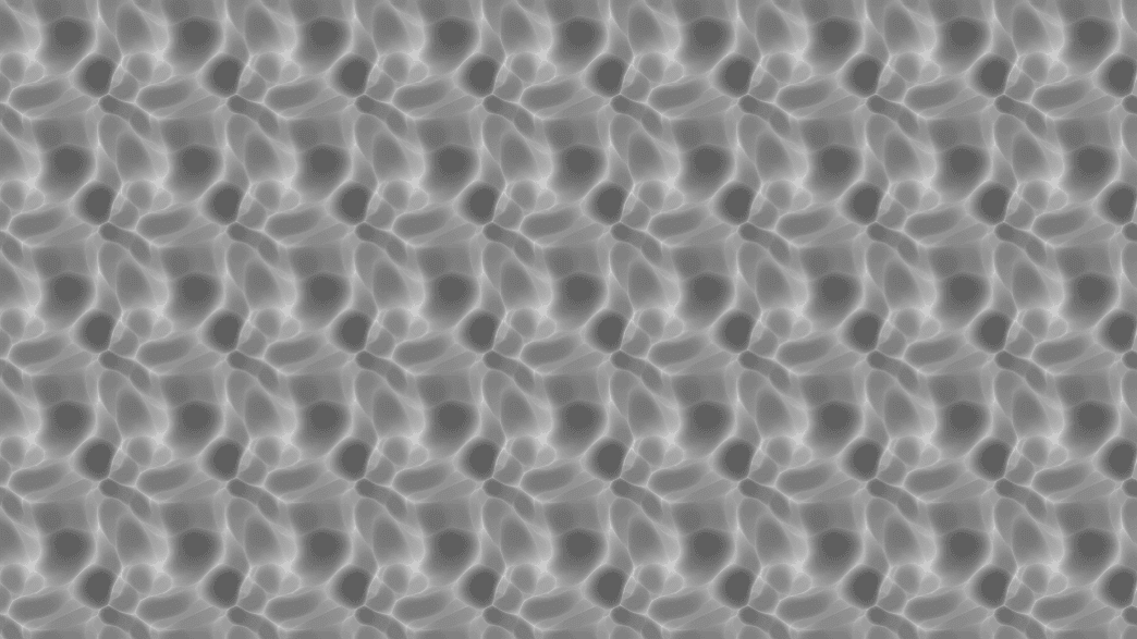 Morphology